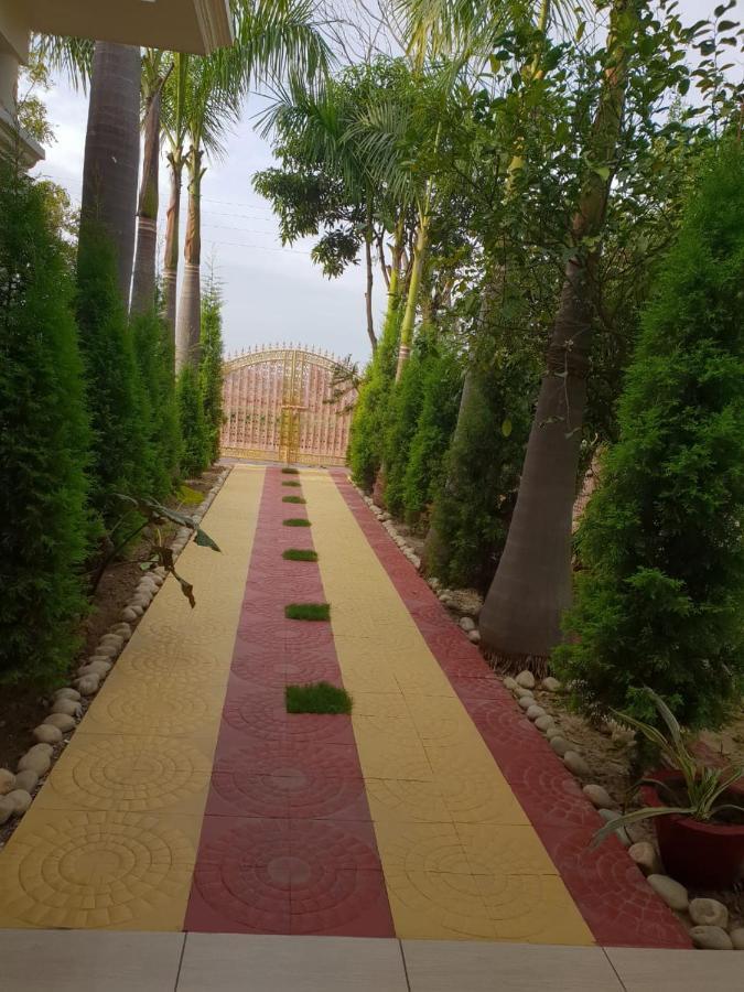 Mann The Palm Retreat Resort 3*