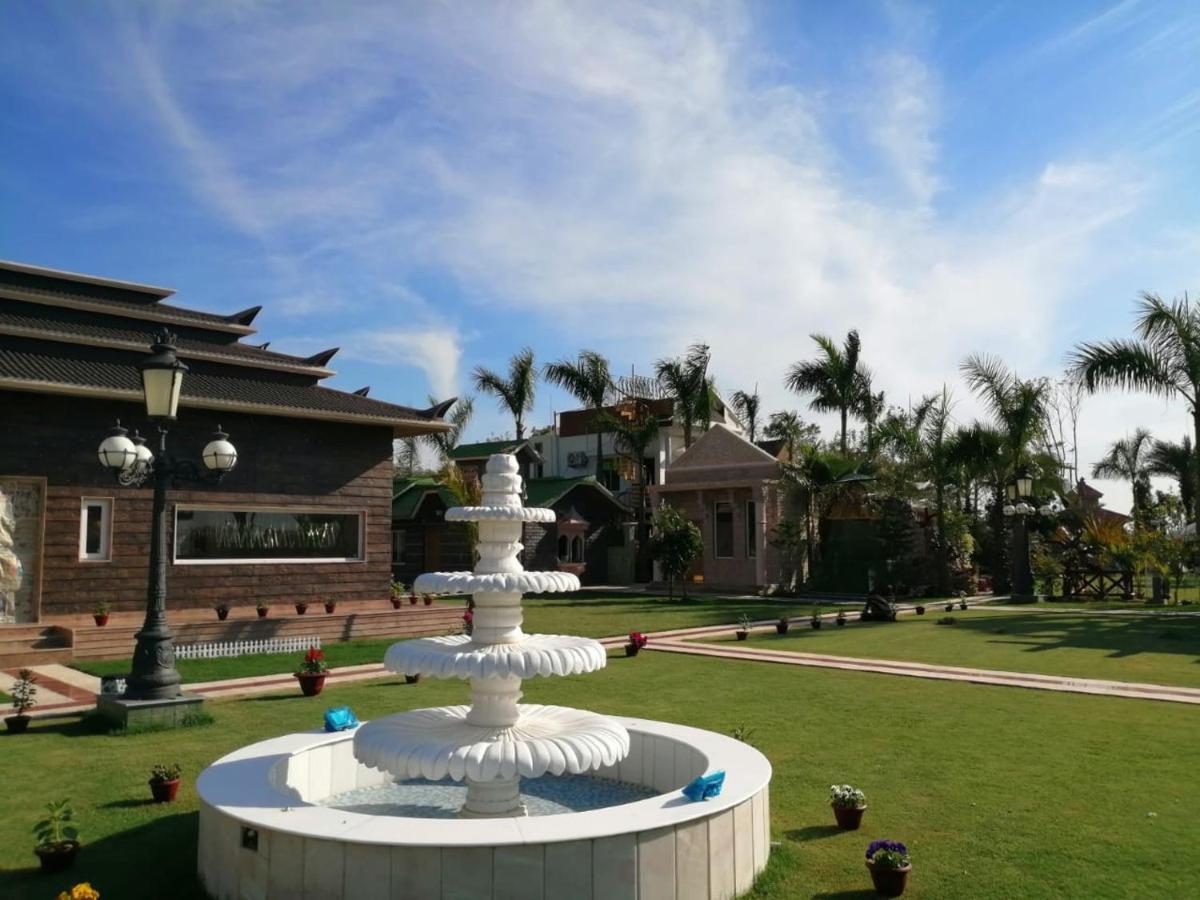 Mann The Palm Retreat