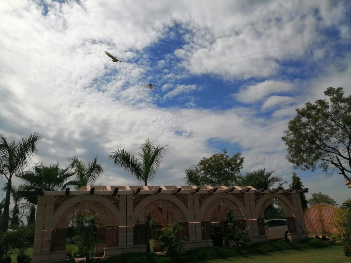 Mann The Palm Retreat 3*