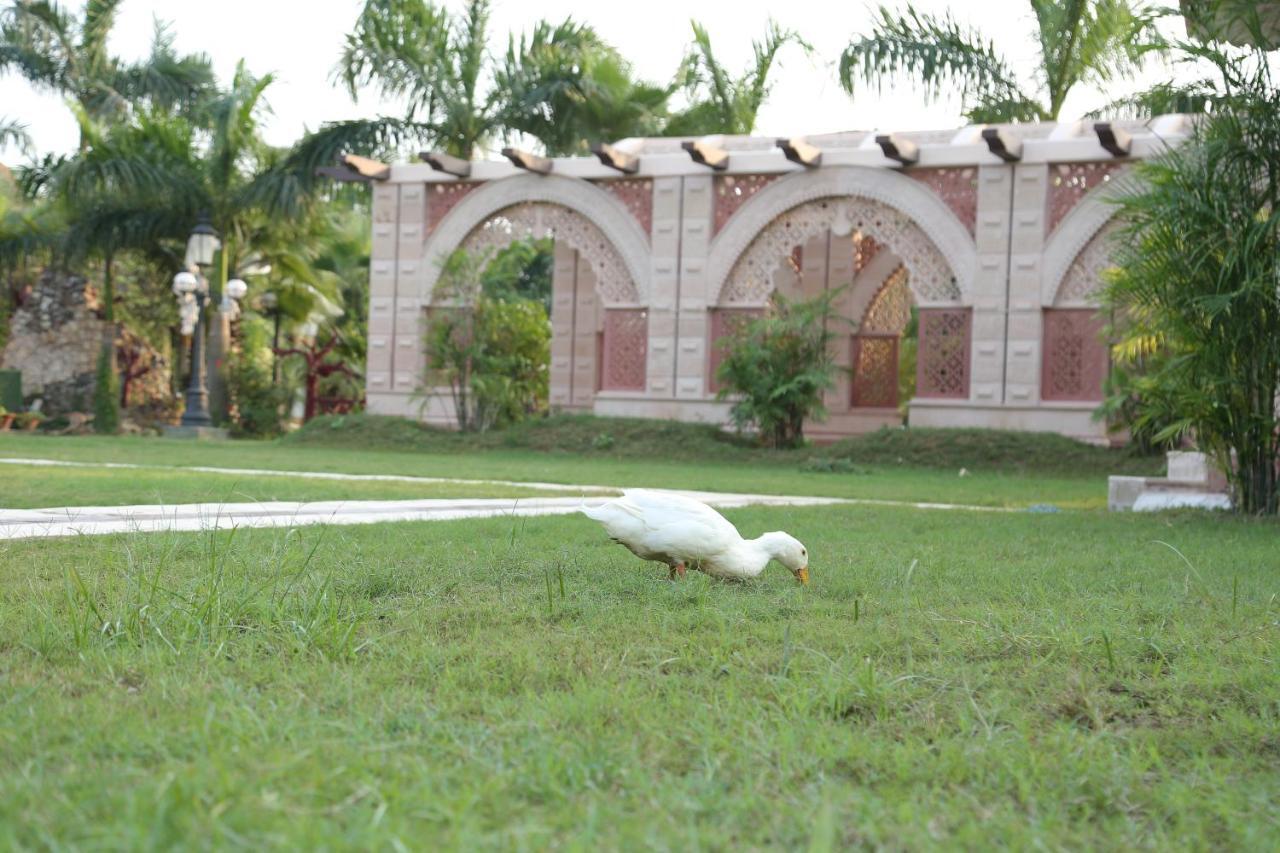 Mann The Palm Retreat Resort 3*