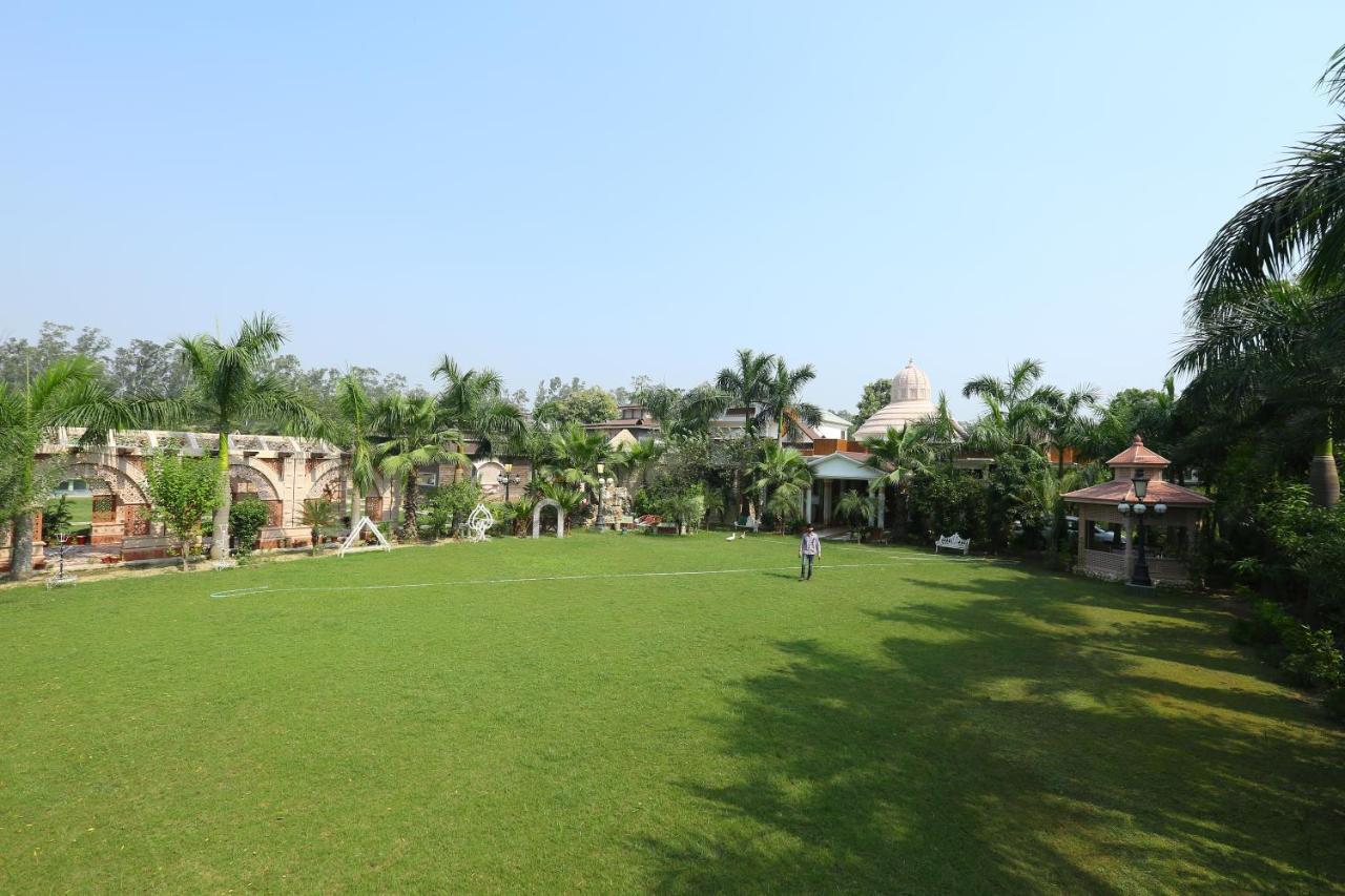 Mann The Palm Retreat